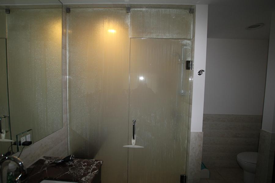 All Glass Shower Door