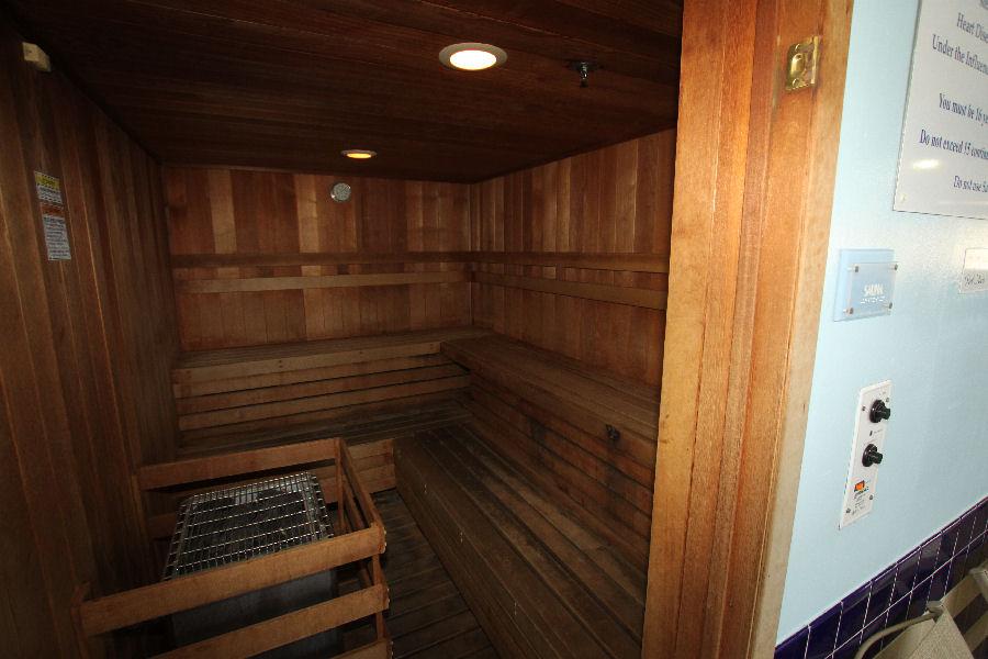 Amerec Sauna by Swimming Pool Pro Series