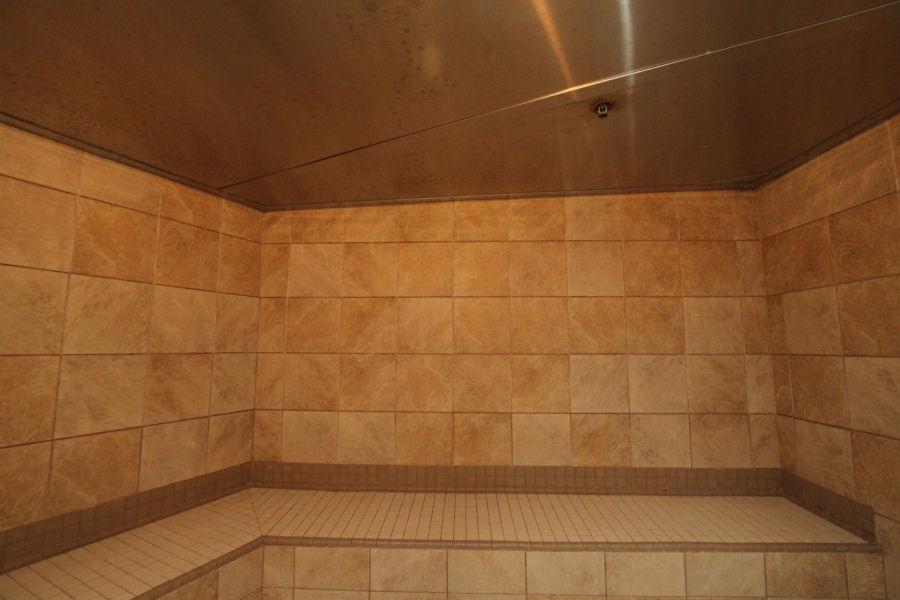 Unique Stainless Steel Steam Room Ceiling