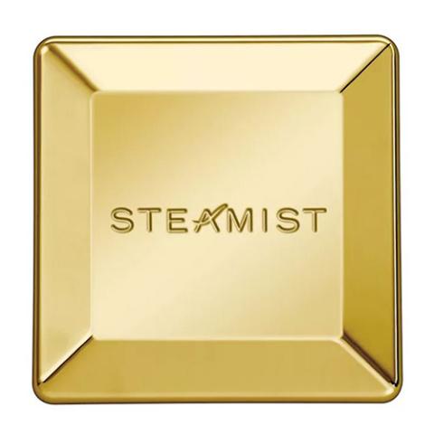 Steamist 3199 Polished Brass Steamhead
