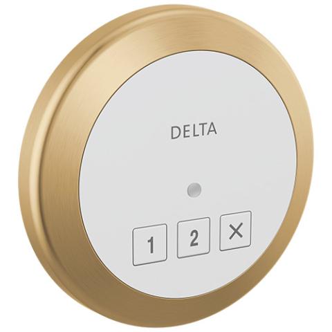 Delta 5CN-550L Control Champagne Bronze