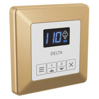 Delta-Steamscape-Square-Control-EP103309CZPR