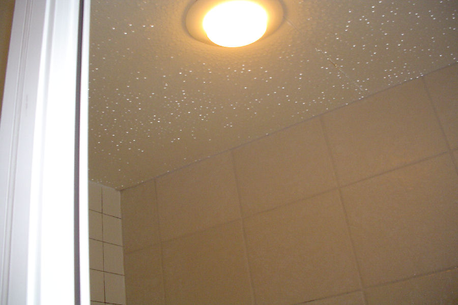 Mr Steam Day Spa Steam Room Ceiling with Condensation CU Series
