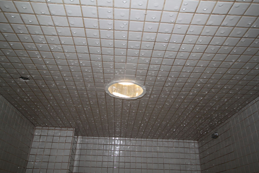 Mr Steam Water Condensation on Ceiling CU Series