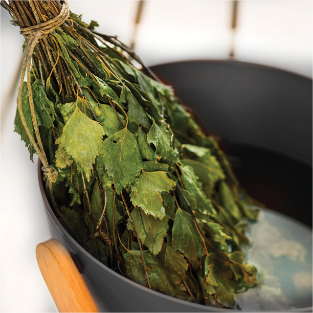 birch-whisk-480.jpg