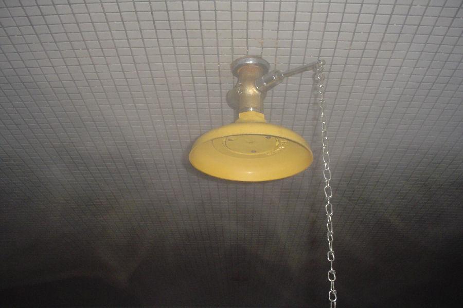 Cold Plunge Pull Chain Shower Head