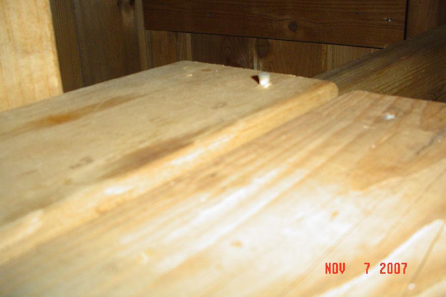 Sauna Room Boards with Nails Exposed