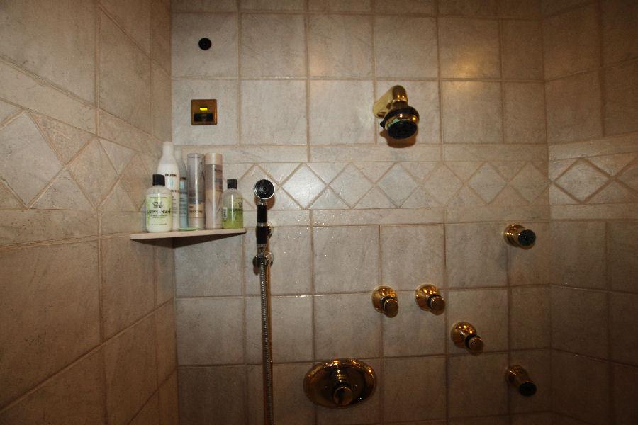 Shower Head and Body Jet Sprays