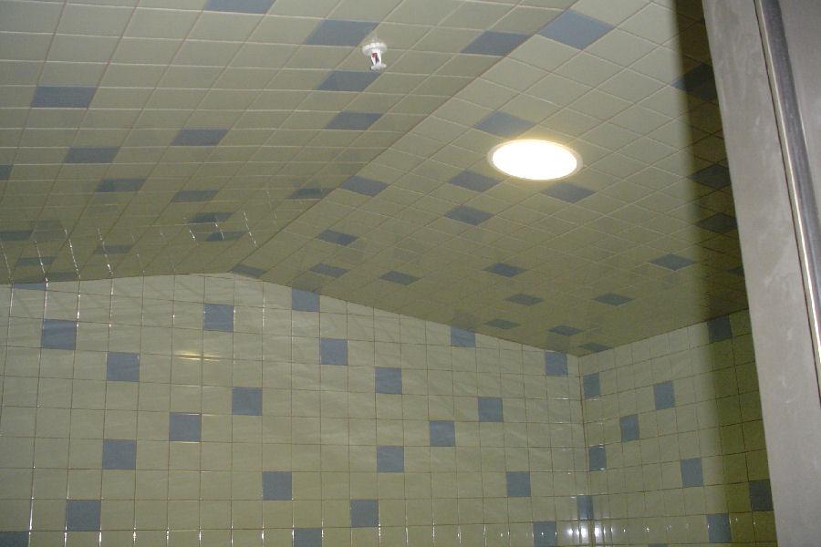 Steamist Steam Room with Roof Pitched Ceiling HC Series