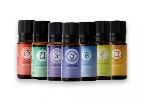 Mr. Steam Essential Oils