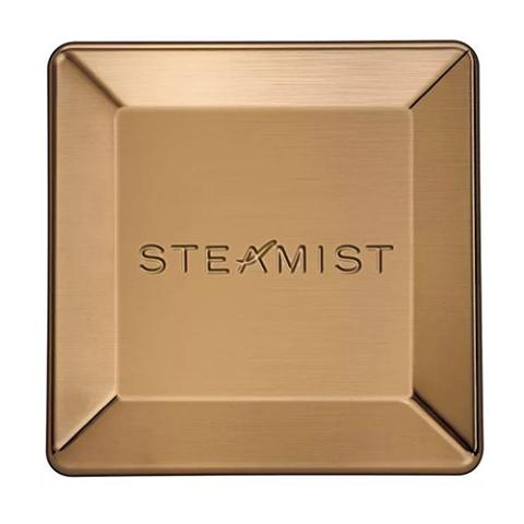 Steamist 3199 Brushed Bronze Steamhead