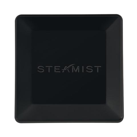 Steamist 3199 Matte Black Steamhead