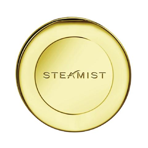 steamist steam head