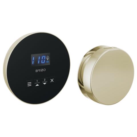 Brizo Mystix Round Control and Round Steam Head Set