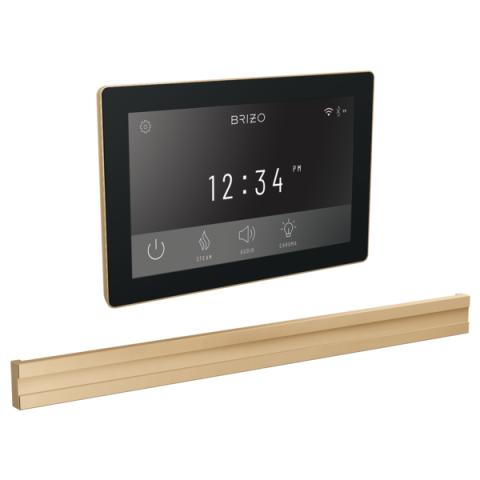 Brizo Mystix Digital Control and Bilateral Steam Head Set