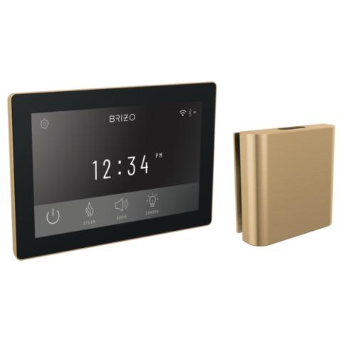 Brizo Mystix Digital Control and Square Steam Head Set