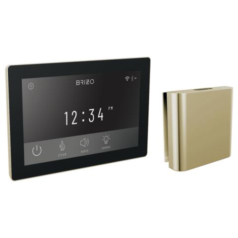 Brizo Mystix Digital Control and Square Steam Head Set