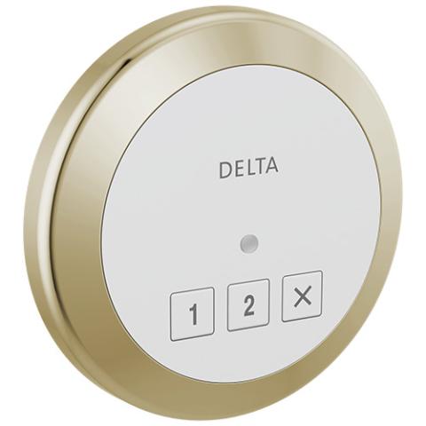 Delta 5CN-550L Control Polished Nickel