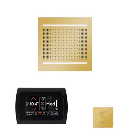 ThermaSol Wellness Steam Package - HydroVive 14 Rainhead + SignaTouch Control (Recessed, Black Trim) + Steam Head Kit (Square) WH14STPSS-PG Polished Gold