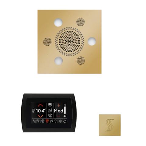 ThermaSol Wellness Steam Package - Serenity Advanced Rainhead (Square) + SignaTouch Control (Recessed, Black Trim) + Steam Head Kit (Square) WSTPSS-PB Polished Brass