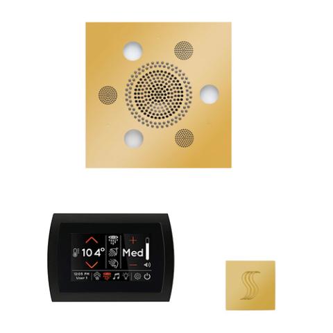 ThermaSol Wellness Steam Package - Serenity Advanced Rainhead (Square) + SignaTouch Control (Recessed, Black Trim) + Steam Head Kit (Square) WSTPSS-PG Polished Gold