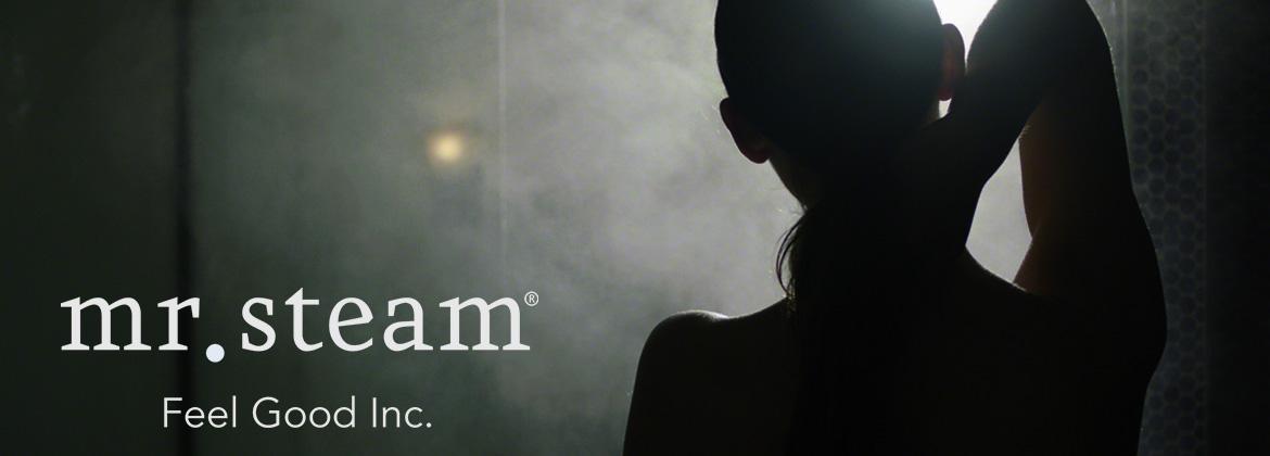Mr. Steam Thumbnail