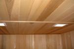 SteamSaunaBath Sauna Room Recessed Lighting