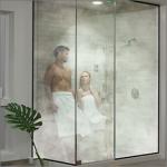 BB-Steamist-residential