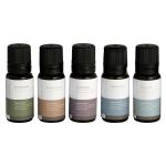 Mr.Steam Essential Aroma Oil Pack MS ESSENTIAL 5